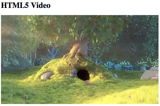 原生视频元素 原生视频元素