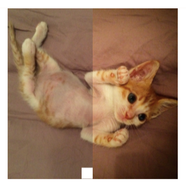 交互式图像对比 交互式图像对比