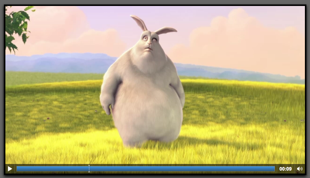 Webkit的视频播放器 Webkit的视频播放器