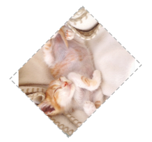 菱形图片 菱形图片