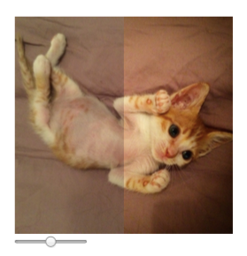 交互式图像对比 交互式图像对比